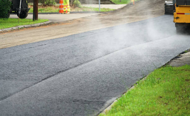 Best Professional Driveway Pavers  in Ridgeland, SC